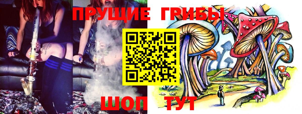 Псилоцибиновые грибы прущие грибы Тольятти
