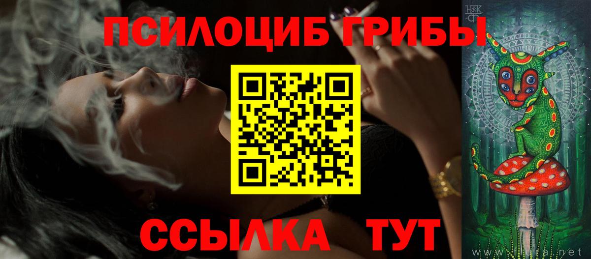 Галлюциногенные грибы прущие грибы  Псилоцибиновые грибы Cubensis  Тольятти  Вход с VPN 